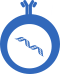 Integration of BCR and GEX data